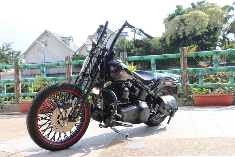 Harley-Davidson 哈雷 大彈簧 CROSS BONES．第 1 張